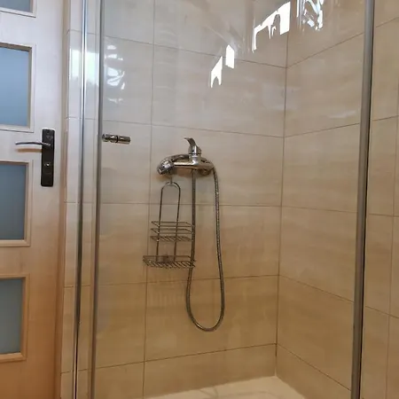 Z Kogutem * ザコパネ