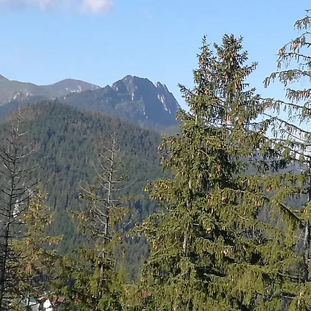 アパート Z Kogutem *